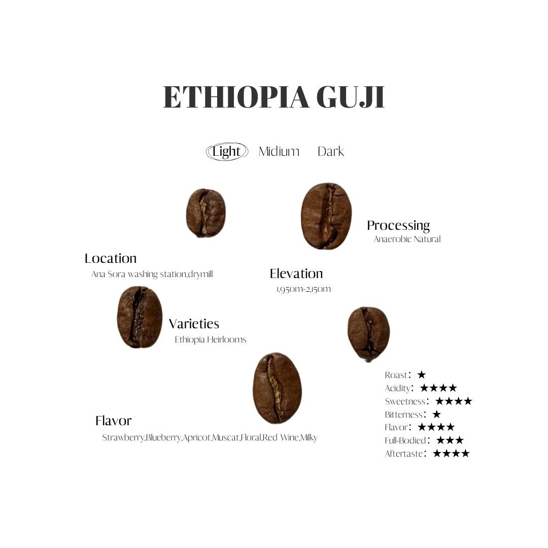 ethiopiaguji
